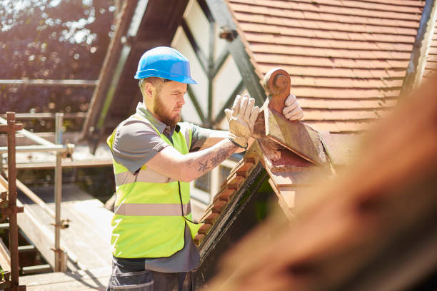 Roof Gutter Cleaning in Cabool, MO